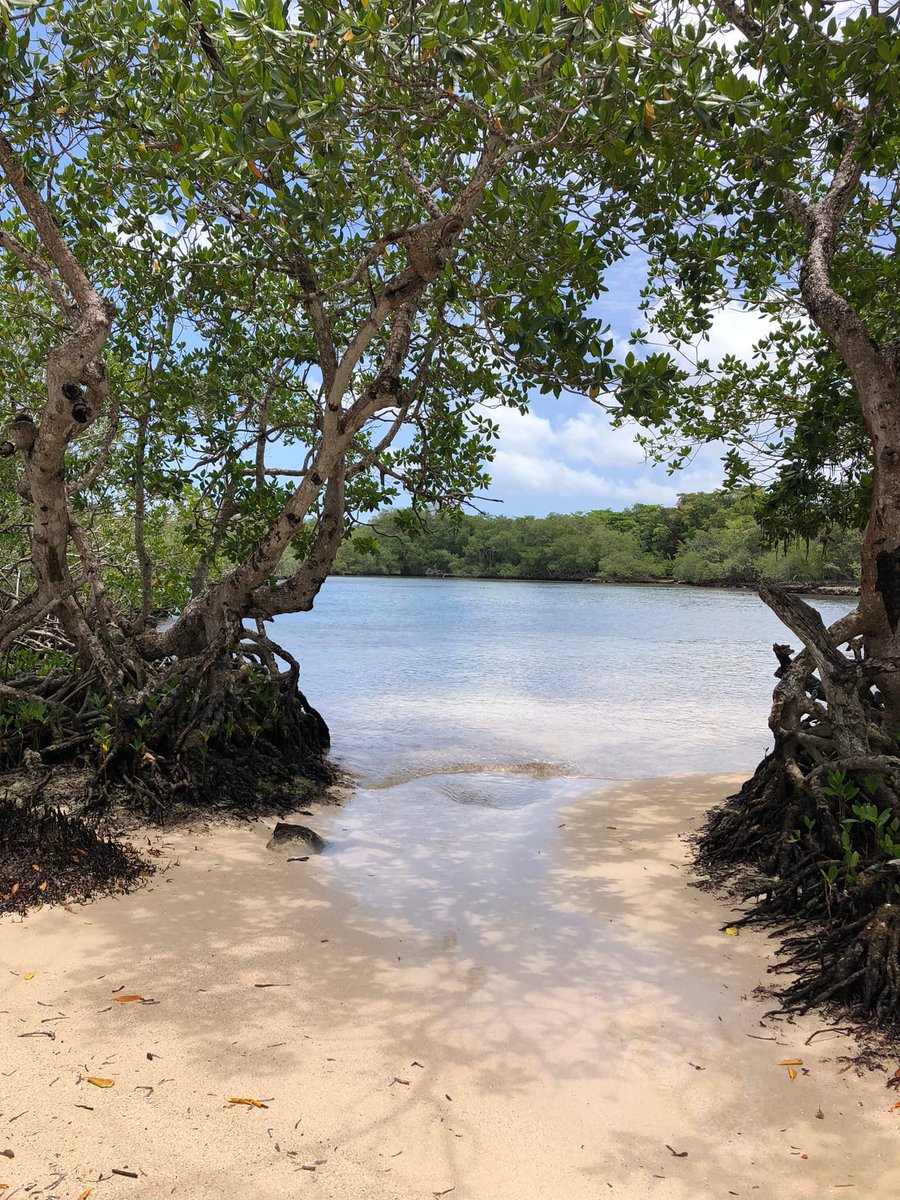 IsaacTours's tweet photo. Once again the door way to passion.
#travellers #AtlanticOcean #dominicanrepublic #summer #wanderlustXL #Sunset #Sky #WeekendFeeling #travel #Traveler #Wanderlust #travelphotography #TravelBlogger #Trekking #TravelExperience #TailorMadeTravel https://t.co/YKm5SWKgJi