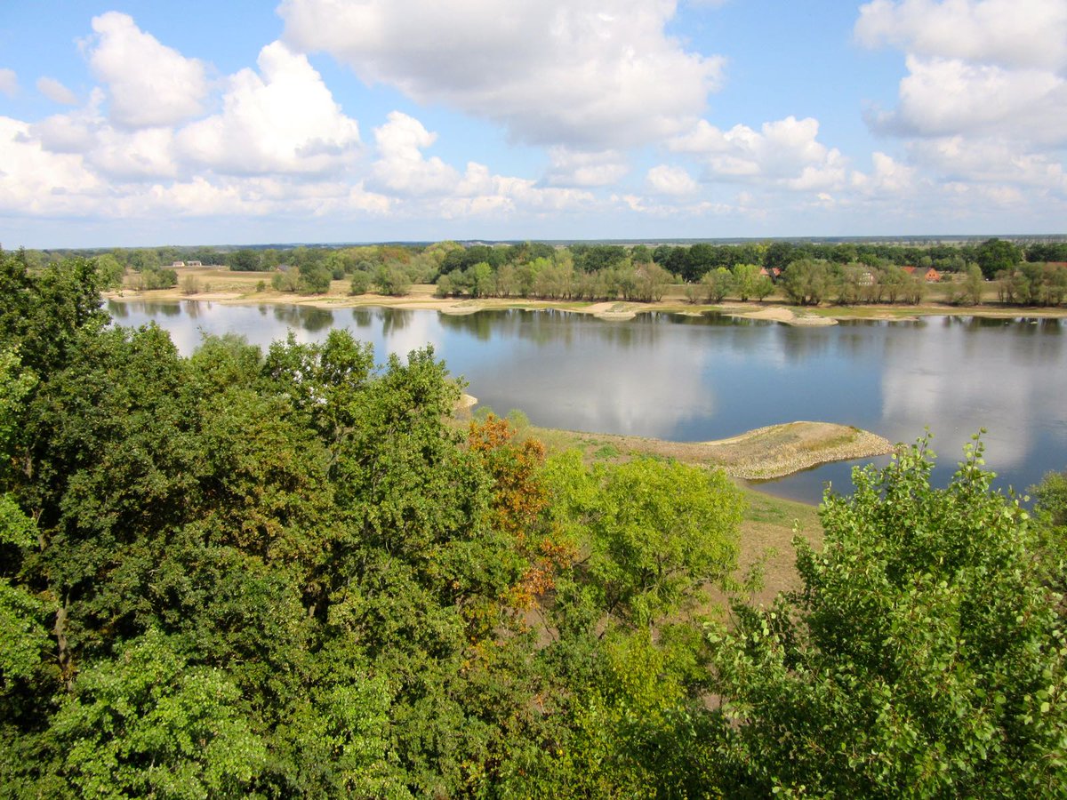 BUNDBrandenburg's tweet photo. ❗️Erfolg! In #Brandenburg wird das #GrüneBand zum Nationalen Naturmonument und damit besser geschützt. Gute Nachricht für #Biber, #Fledermäuse, #Mittelspecht, #Seeadler und viele andere Tier- und Pflanzenarten.➡️https://t.co/JYkcJXClZT
@MLUKBrandenburg https://t.co/cNhgBY8m29