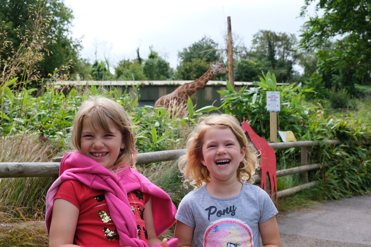TinBoxTraveller's tweet photo. #Paignton Zoo is open now! Here's what you need to know about visiting  - animals, facilities and what's happening in 2022 ➡️ https://t.co/qUmUwuRT5z #VisitDevon #travel2022 #daysoutinDevon https://t.co/ozbLxPfUol