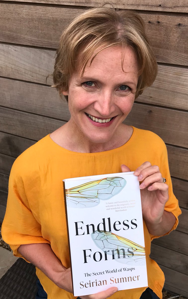 Prof Seirian Sumner tweet media