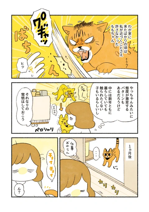 【再掲】
タッチミー!ももちゃん 