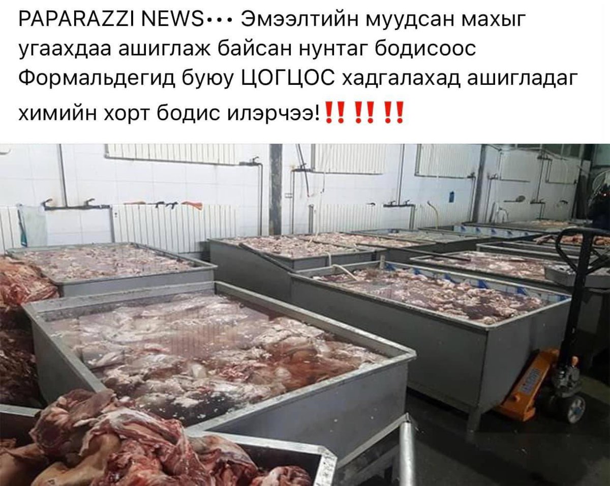 Шүтээд байдаг Женкогийн чинь компани. Өмнөөс нь зулын гол болно гээд байгаа биз. Яахын угааасаа бүгдийг нь хоолоор нь хорлож байхад.