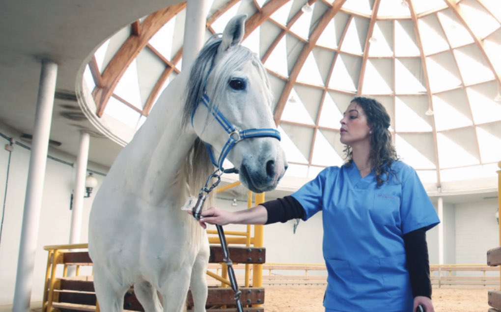 VeterinariaUCO's tweet photo. 🗣Jornada online de #SalidasProfesionales del Grado de #Veterinaria 
🗓 30 de mayo. ⚠️ ¡Cambio de hora a 9:15h! 
#FormatoVirtual @Univcordoba 
Enlace a la reunión 👉🏻https://t.co/XsGFJrArN9 #veterinariaUCO https://t.co/uze3pRSLVc