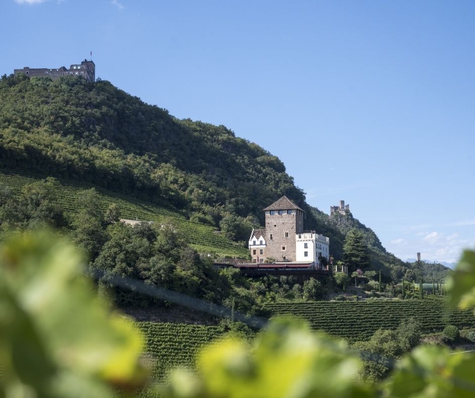 visitsouthtyrol's tweet photo. #Summer is knocking on the door, inviting you to come outside and experience #SouthTyrol from one of its most beautiful sides. With our #livepictures you can already do that, although it is even more impressive when you are here. https://t.co/ABFgNEjiEN