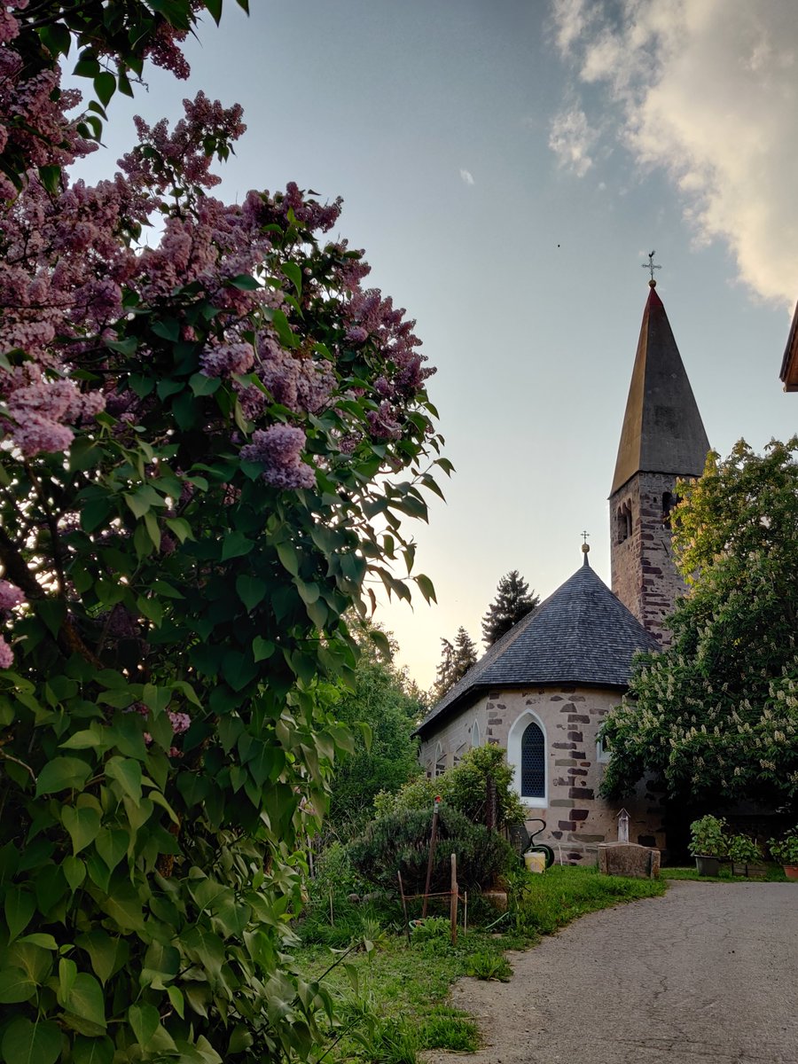 visitsouthtyrol's tweet photo. #Summer is knocking on the door, inviting you to come outside and experience #SouthTyrol from one of its most beautiful sides. With our #livepictures you can already do that, although it is even more impressive when you are here. https://t.co/ABFgNEjiEN