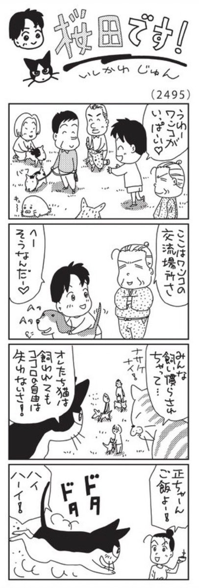 火曜日の毎日新聞にゴマちゃんが…
今日の毎日新聞夕刊には猫の正ちゃんが出てます。
@ishikawajun 
#桜田です
#ウチの場合は 