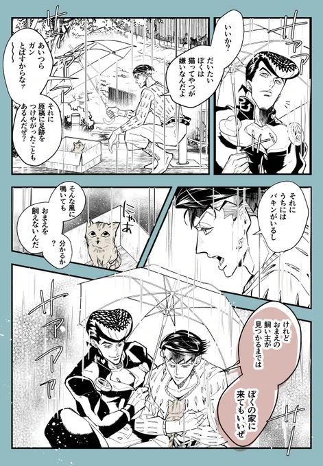 お題【猫】
#仗露道場 