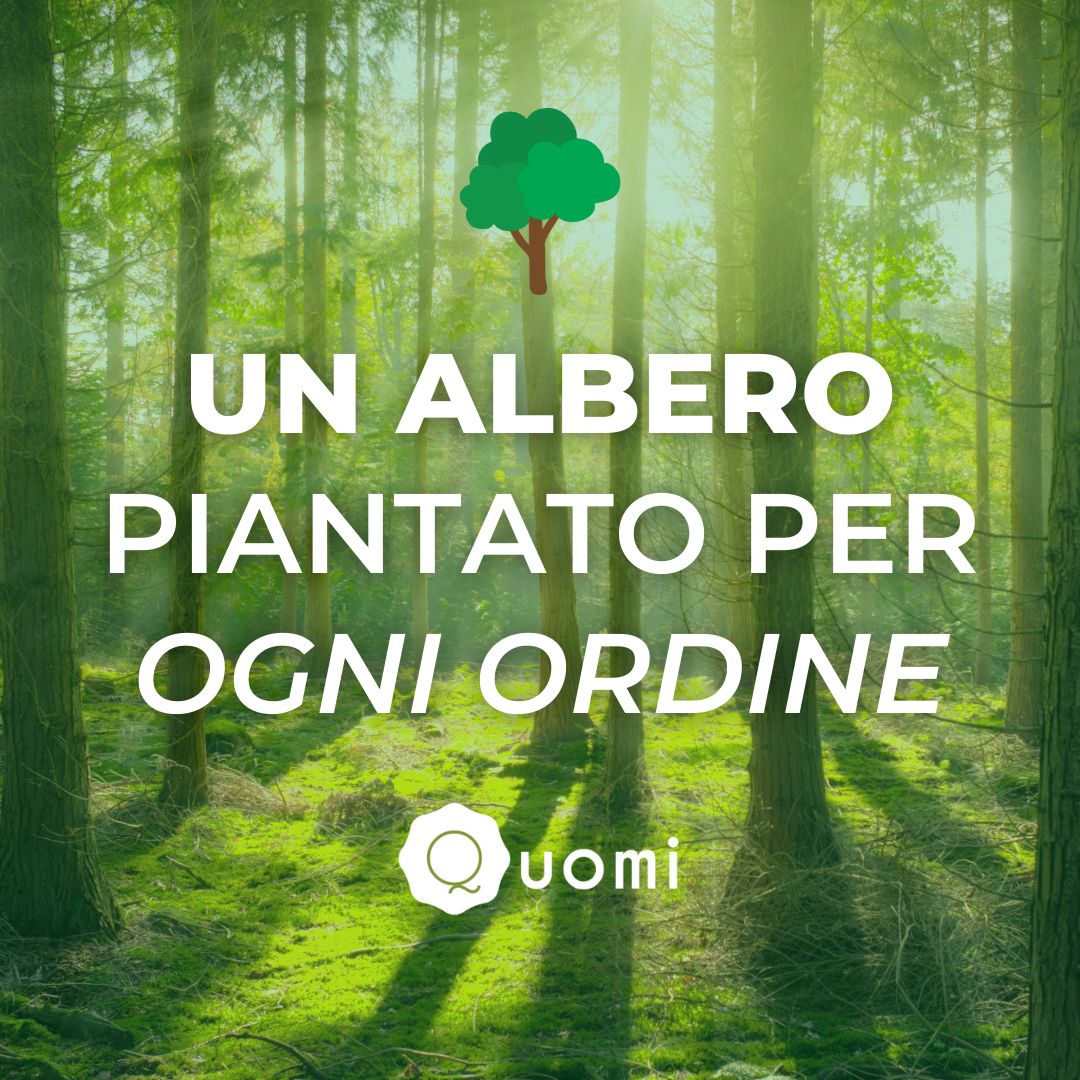 🌳 Un albero piantato per ogni ordine effettuato. 🌳

Quomi si impegna a sostenere i Paesi soggetti alla deforestazione come Haiti, Nepal, Madagascar, Kenya e supporta il lavoro dignitoso per gli abitanti di queste zone. bit.ly/3PsUzYy
#quomi #incucinaconquomi