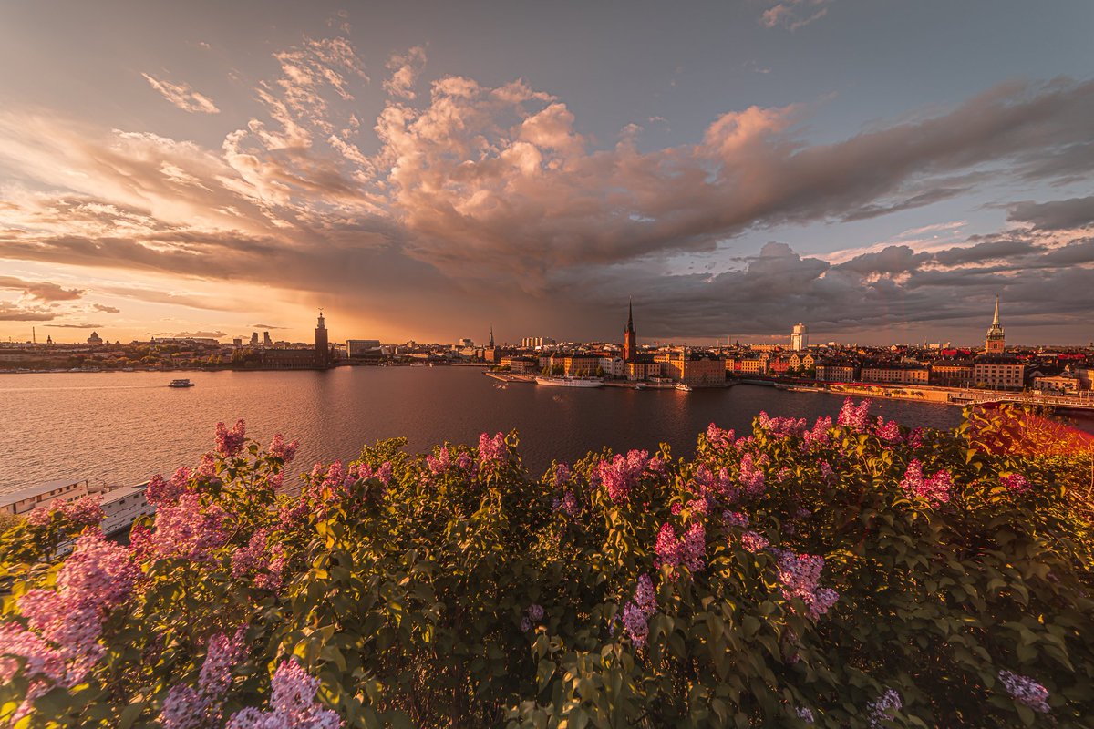 Good afternoon friends!

Stockholm sunset yesterday while testing out my new Z9🧡
.
.
<a href="/NikonEurope/">NikonEurope</a> #NikonZ9 #z9 #Nikon #Stockholm #photographer #zcreators #laowa12mm <a href="/laowa_lens/">Laowa - Venus Optics</a>