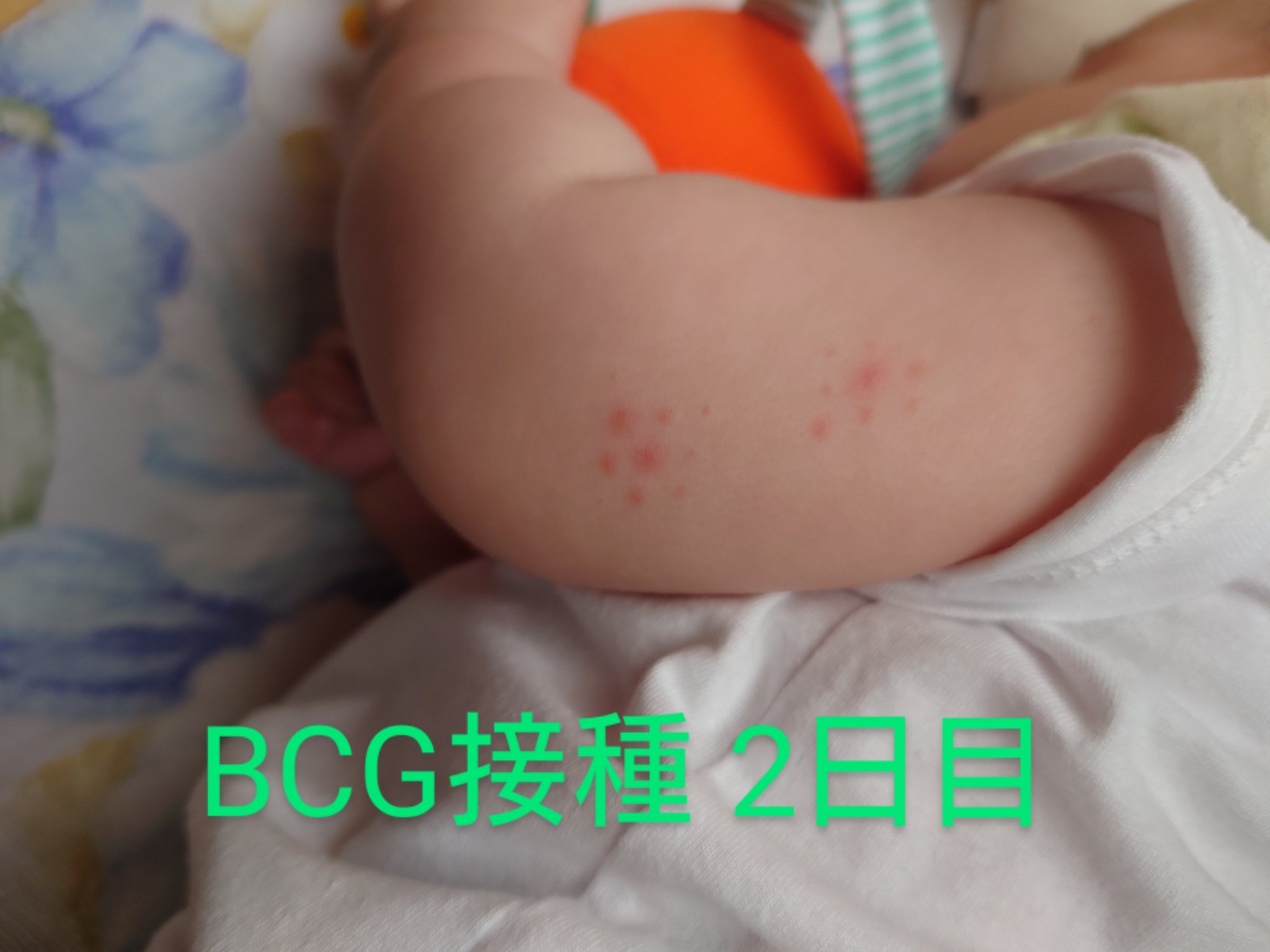 ゆぅ 37w0d 5m Yu Uy0116 Twitter