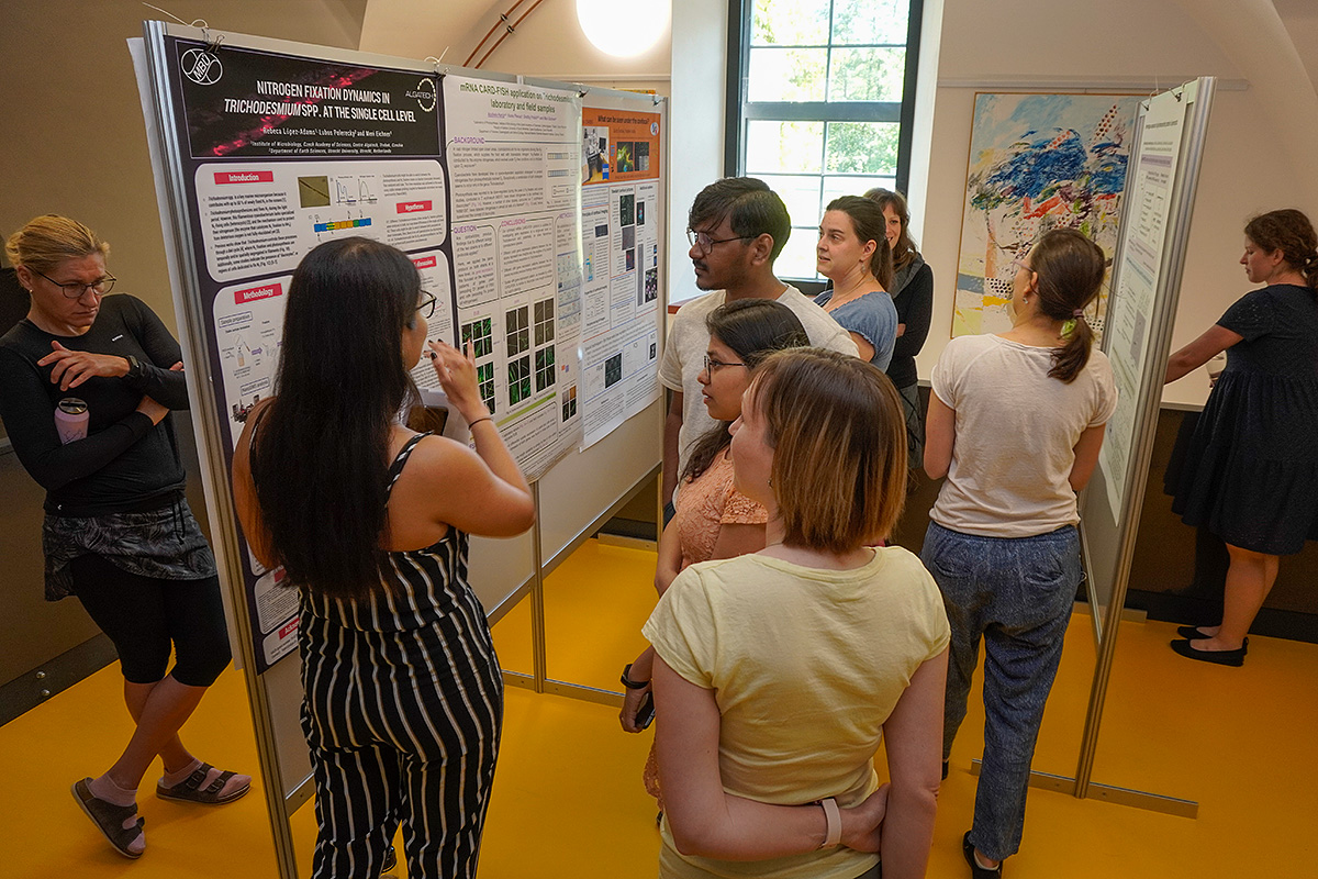 AlgatechTrebon's tweet image. #ALGATECH Centre POSTER SESSION 22 of algatech´s postdocs and students is running right now. 22 posters, all about #microalgae research. It represents the best of the algologist community all over the world working in the Institute of Microbiology-Algatech Centre, CAS, Třeboň🇨🇿