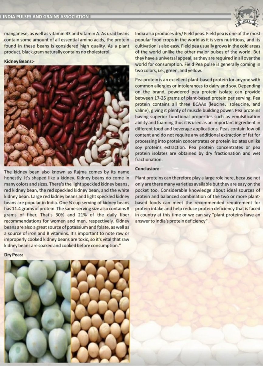 harsharai009's tweet photo. My Article on "Key role of #pulses in #plantbased diet" in latest edition of Indian Pulses &amp; Grain Association pulse #magazine.

#lentils #urad #toor #chana #kabuli #agriculture #mungbeans #beans  #mayurglobalcorporation #protein #nutrition #healthy https://t.co/0DwBZ7SHhq