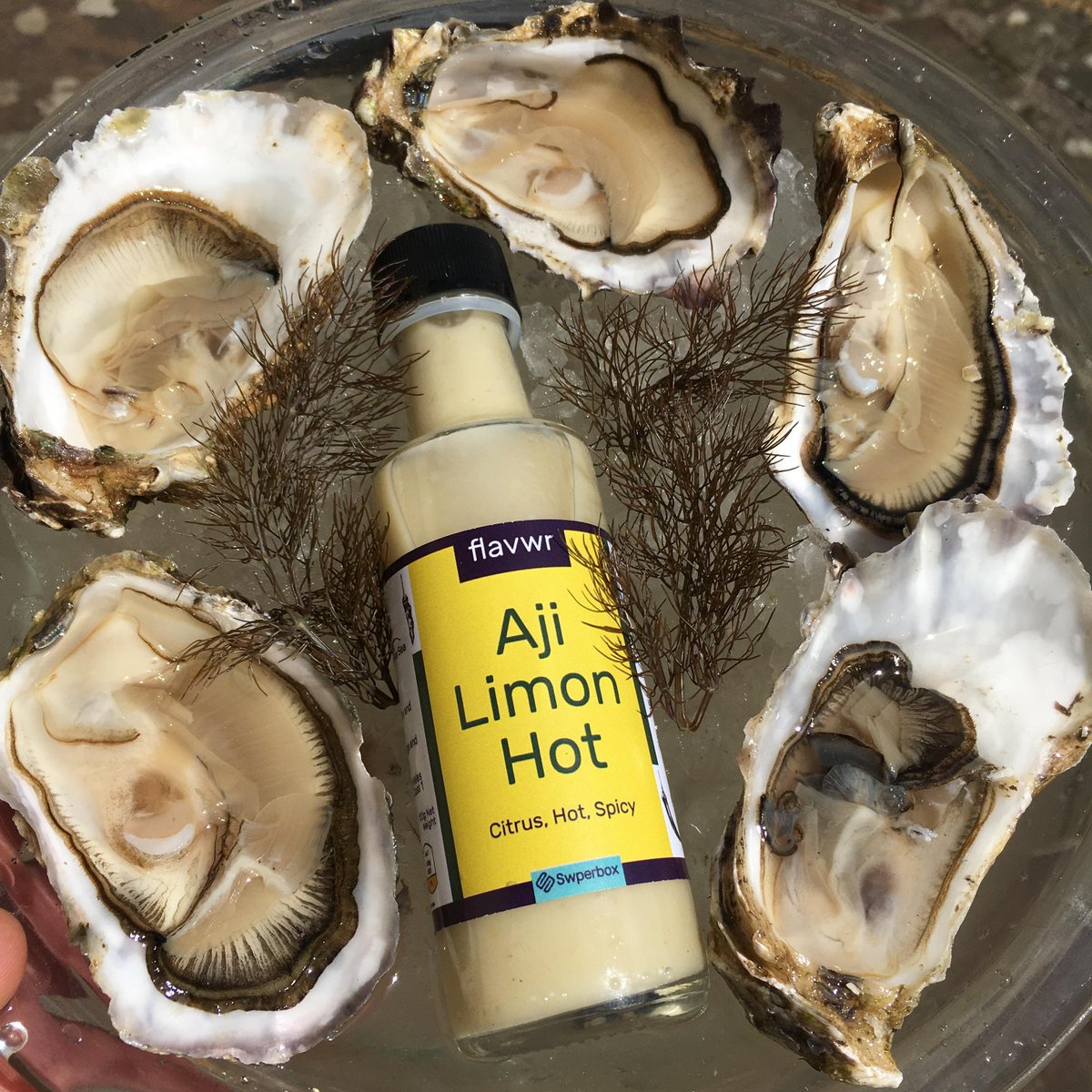 BwydSirGarFood's tweet photo. Our Bole Aji Lemon Hot - Great with Pembrokeshire Oysters from @OystersEdge
https://t.co/VFBkBcfkjj
#swper #swperbox #recipebox #foodbox #cardigan #lampeter #llandeilo #ammanford #narberth #swansea #carmarthenshire #pembrokeshire https://t.co/lCGATGiTnQ