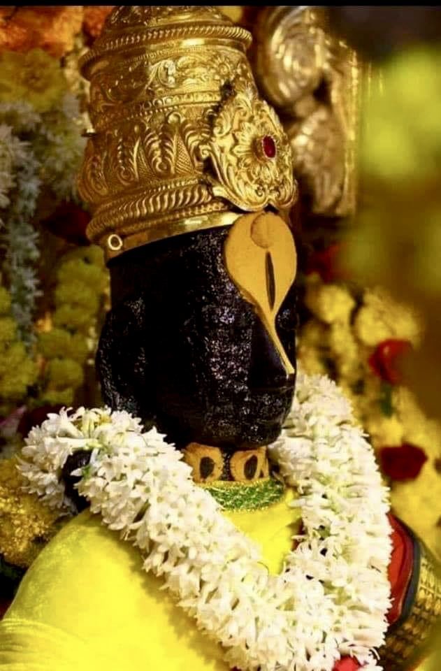 Jayalko1's tweet photo. ट्विटर शुभ संध्या🌼

॥ पीत वसन वनमाली ॥ https://t.co/V2RTfbhjfB