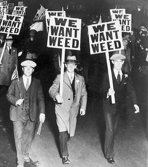 random_snakes's tweet photo. #IFeelTheNeedFor WEED! ๐ฟ๐คช๐ https://t.co/HFhDNzslWr