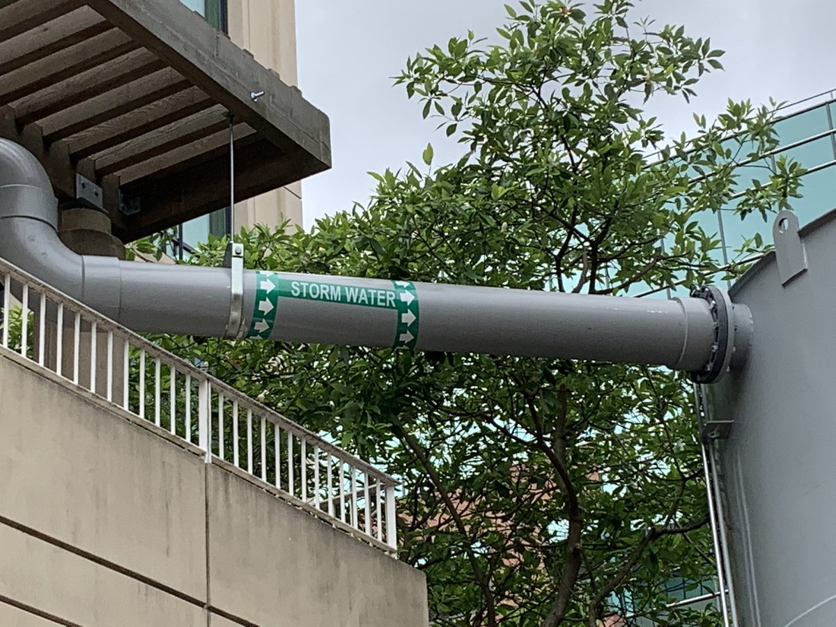 Libby Garvey tweet media