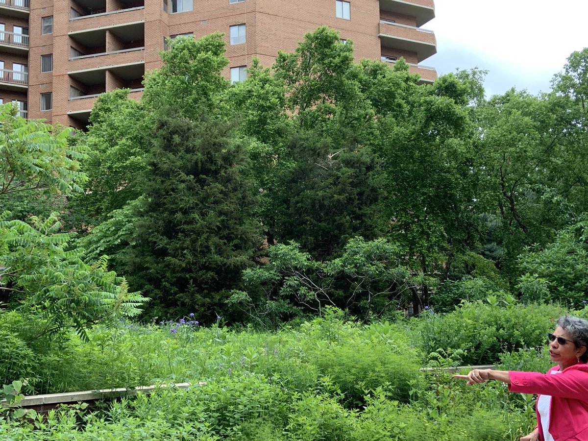 Libby Garvey tweet media