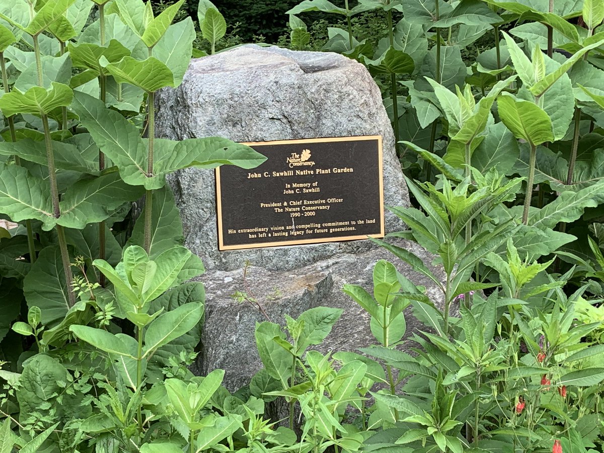 Libby Garvey tweet media