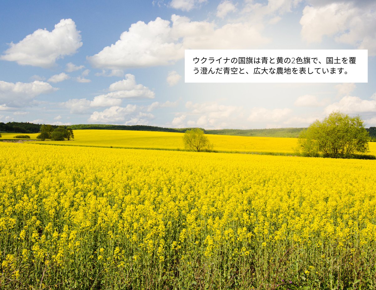 gaijin_no_tweet's tweet photo. 私は@pochynok_khと一緒に『ウクライナの自然』フォトブックを作成しました！日本語の説明が載せてある美しいウクライナの自然の写真が、気に入っていただければとても嬉しいです！ https://t.co/mGJcIC65LR