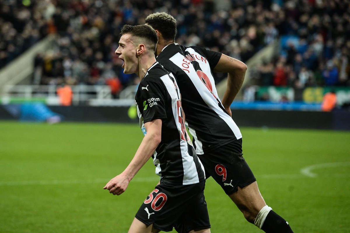 TomAllan tweet media