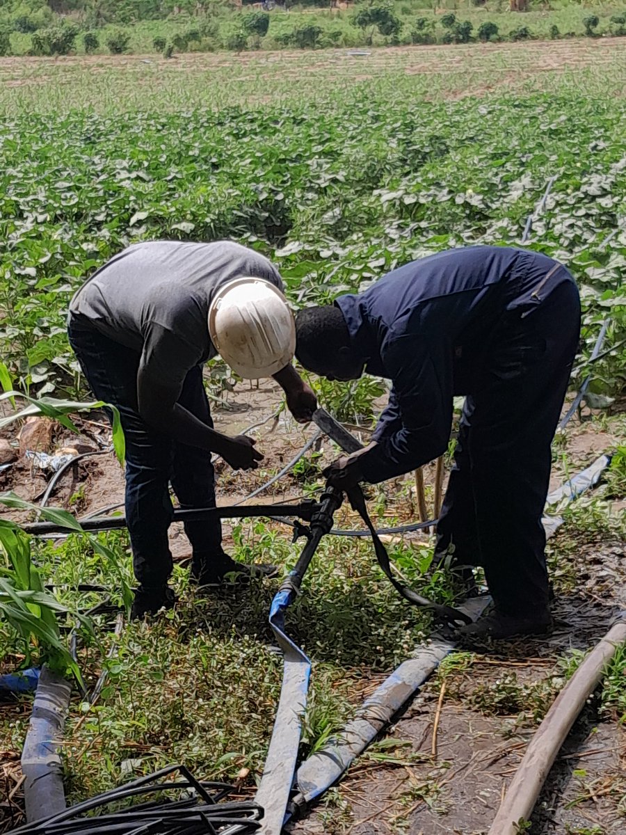 abena101's tweet photo. Demonstrating the use of solar-powered irrigation pumps in Karimenga community, North East Region, Ghana.@IWMI_ @thepumptechltd @IlssiTAMU @ThaiThiMinh1 @Petraschje https://t.co/h8jXQqjKt8