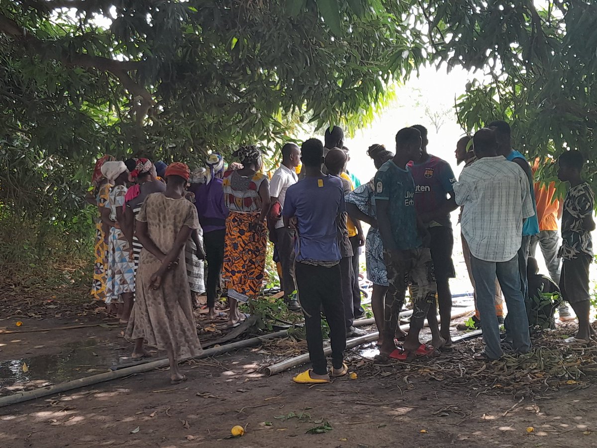 abena101's tweet photo. Demonstrating the use of solar-powered irrigation pumps in Karimenga community, North East Region, Ghana.@IWMI_ @thepumptechltd @IlssiTAMU @ThaiThiMinh1 @Petraschje https://t.co/h8jXQqjKt8