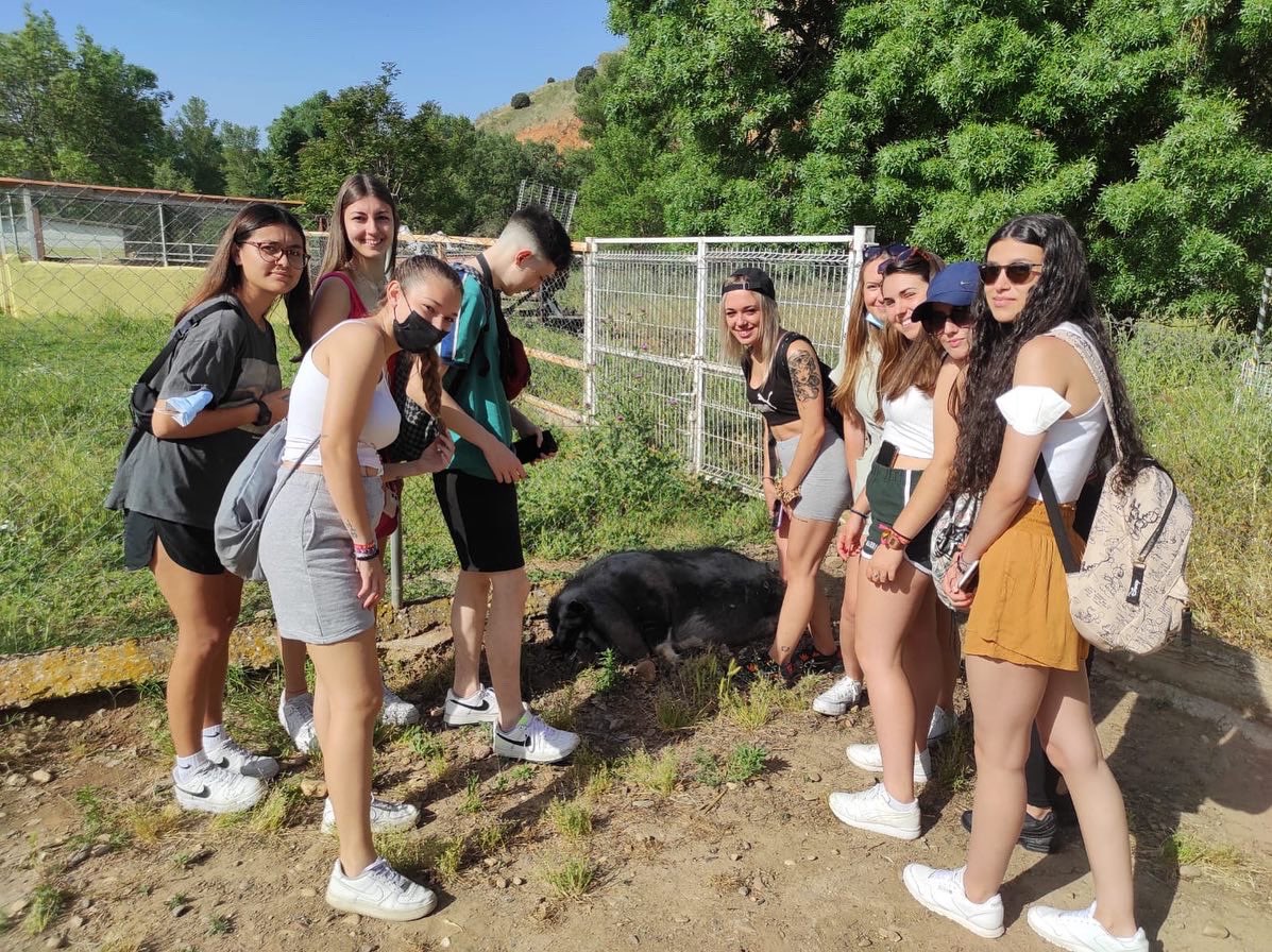 salesianosdosa's tweet photo. G.S.Ed. Infantil ha pasado el día en contacto con la naturaleza, aprendiendo el funcionamiento de una estupenda granja escuela @ceieljarama. Gracias por abrirnos las puertas y dejarnos ser niños de nuevo. https://t.co/rFGhNVRPyJ