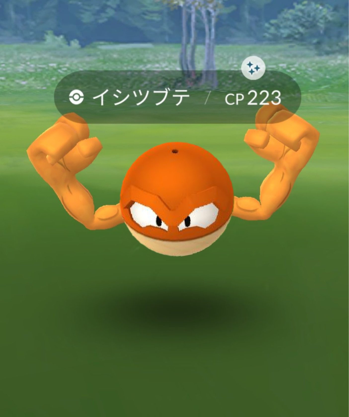 ボールガイ 久しぶりに色違いのポケモンをゲットしたボル アローライシツブテのようなビリリダマボル ポケモンgo T Co 76wsrlpdir Twitter