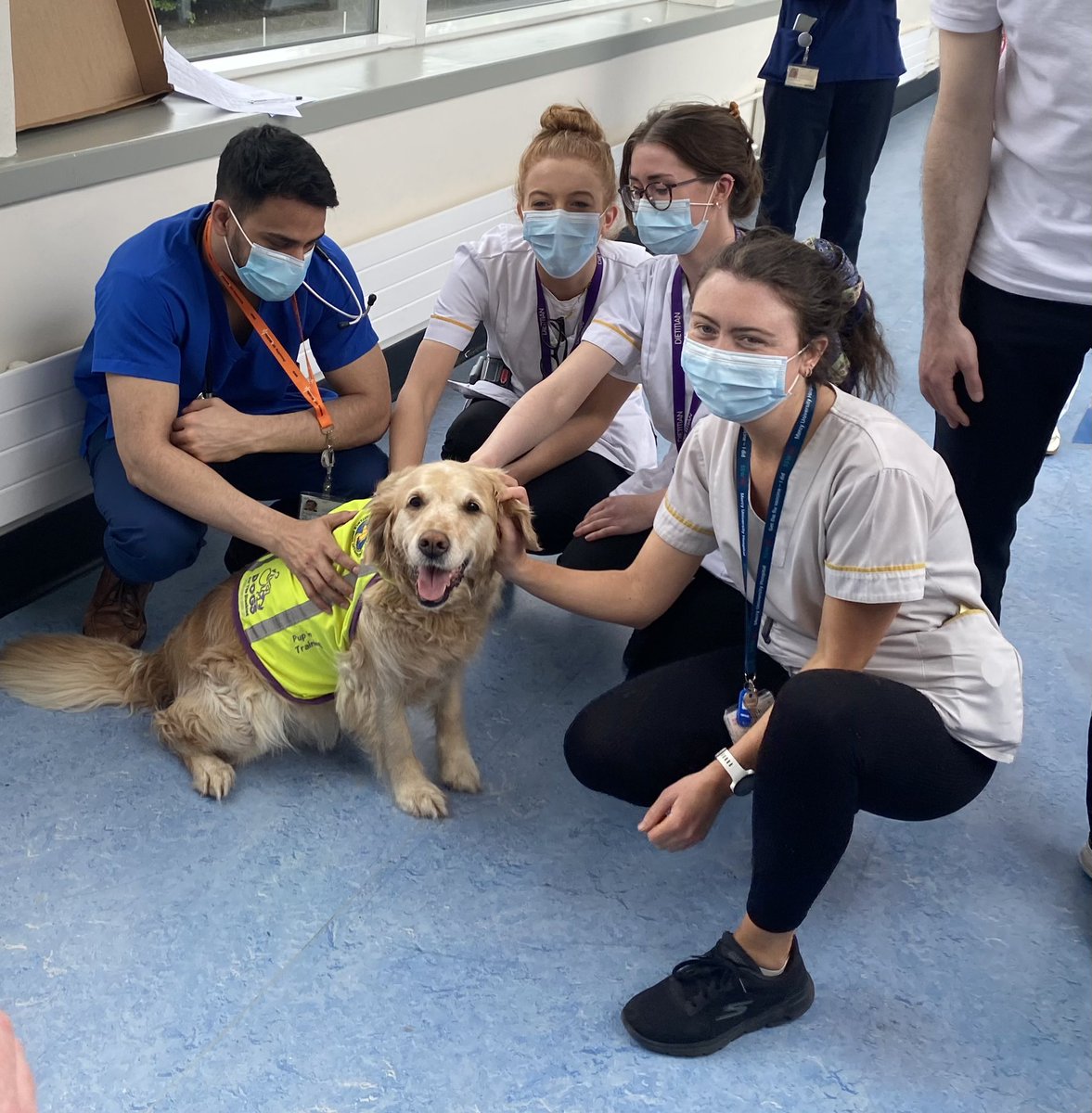 BlarneyKate's tweet photo. Sometimes the best medicine is a wet nose and a waggy tail @DogsforDisable1 @TomClonan @Mercycork #thisismercy #wellbeingweek https://t.co/1CY46UJxrk