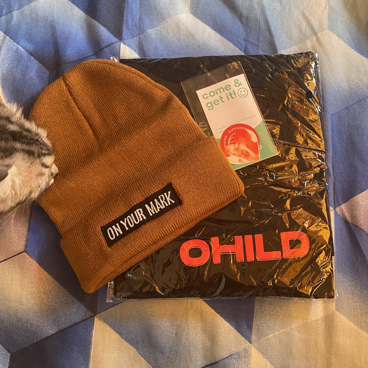 makeumilk's tweet photo. thank you, again @sevenstudioG7 !!! 
got my MOLO merch safe and sound. cat approved 🐱 #SS7feedbacks 💚✨ https://t.co/UmotioJLO1