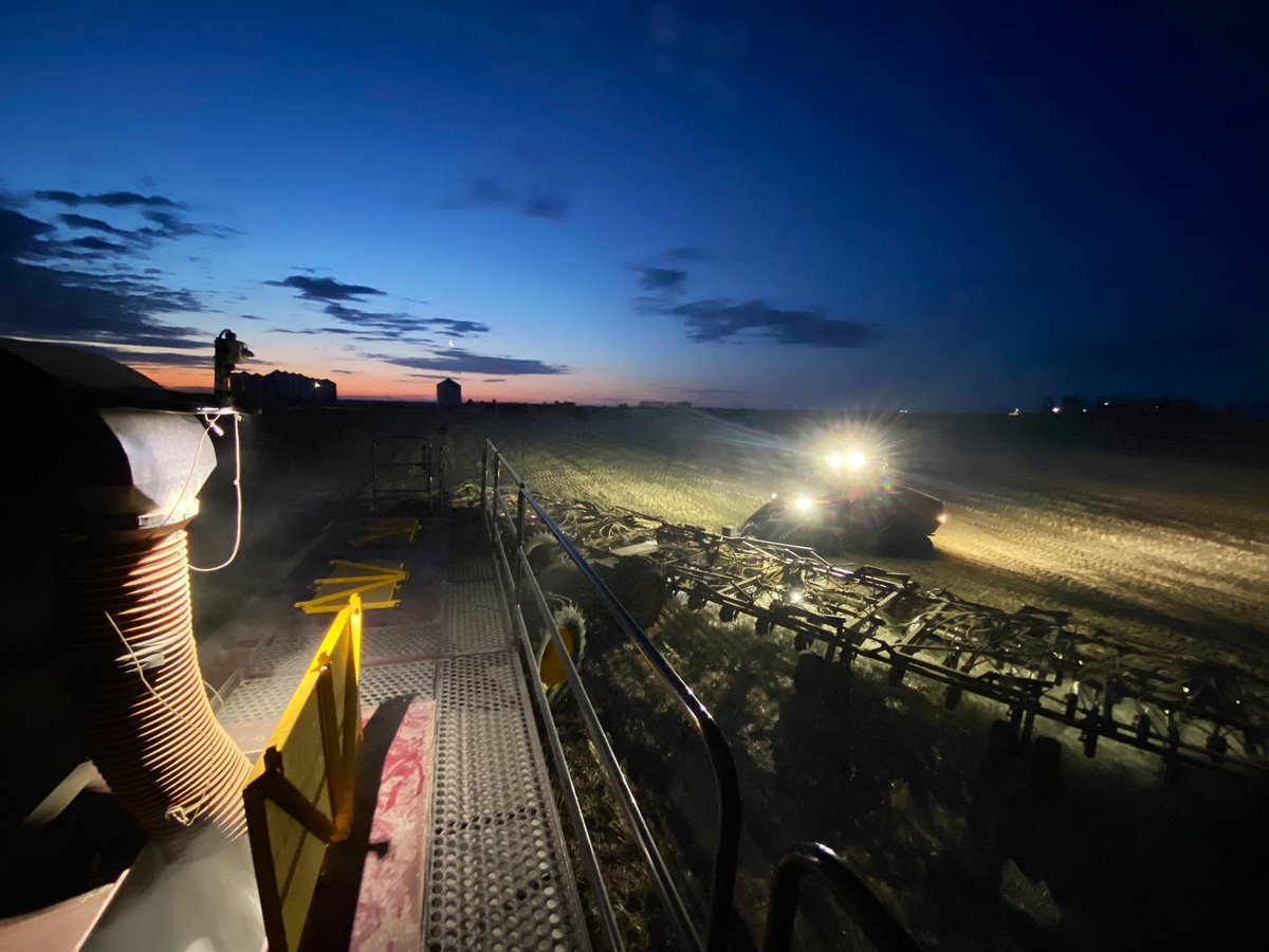 Riley Emmel tweet media