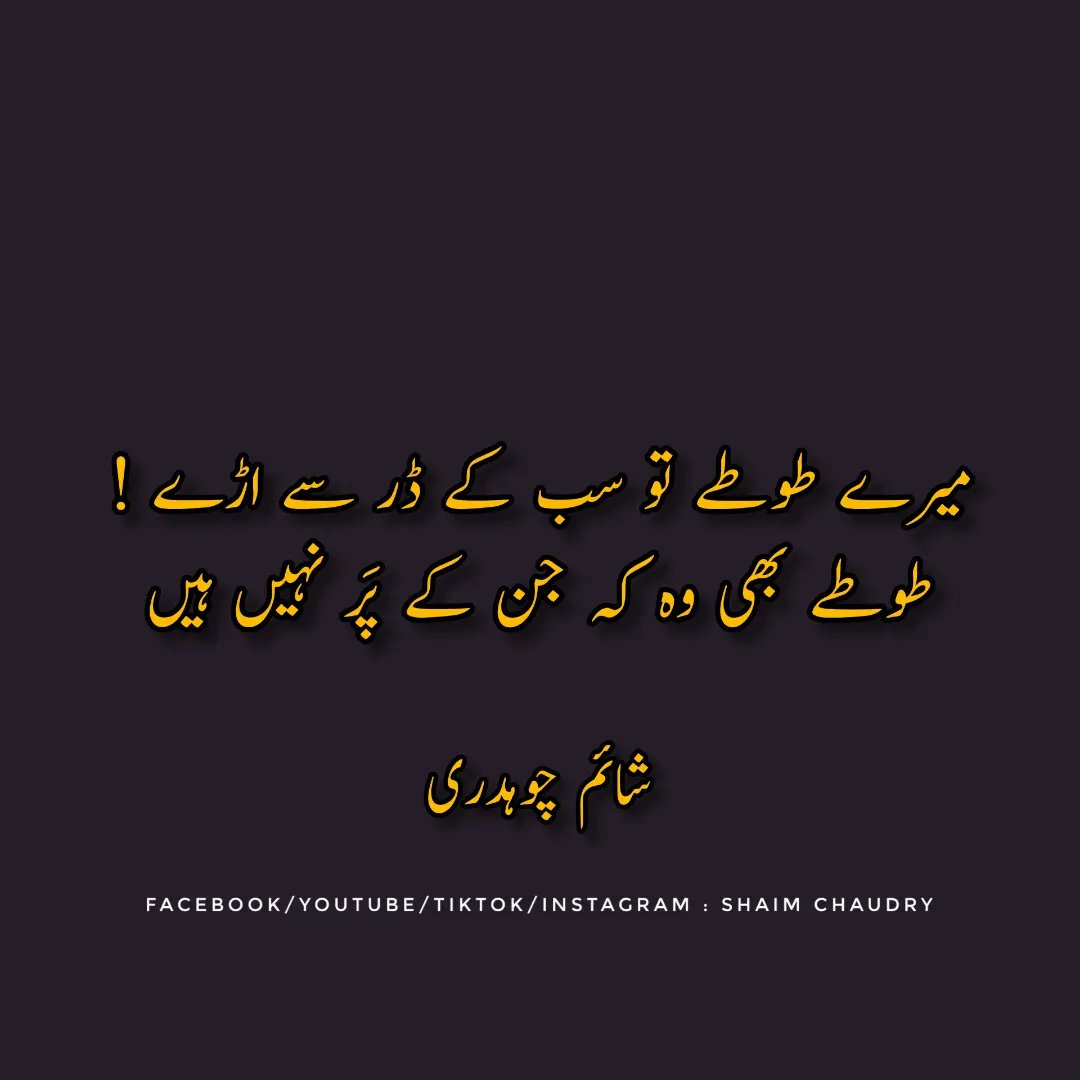 OfficialShaim's tweet photo. میرے طوطے تو سب کے ڈر سے اڑے
طوطے بھی وہ کہ جن کے پَر نہیں ہیں
شائم چوہدری
#shaim #chaudry #Shaimchaudry #urdupoetry #اردو_شاعری #اردو_زبان https://t.co/RPeSRY8tgN