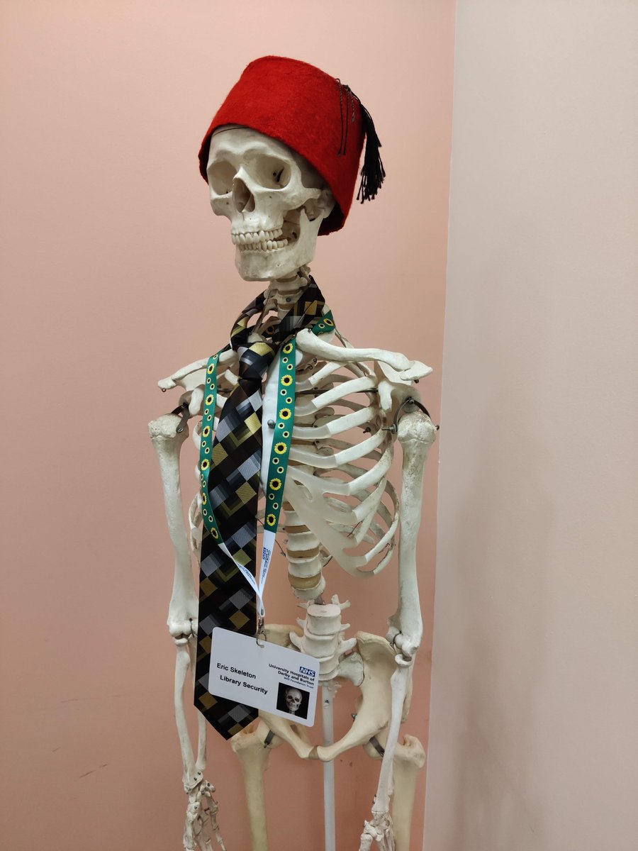 UHDBLibrary's tweet photo. Eric is now in place as Library Security for Seminar Room 1. The fez isn't part of the official security uniform, he just came in like that.
#nothinggetspasteric #hewearsitwell #skeletonsecurity #yournamesnotdownyourenotcomingin https://t.co/7mpKK61E1H