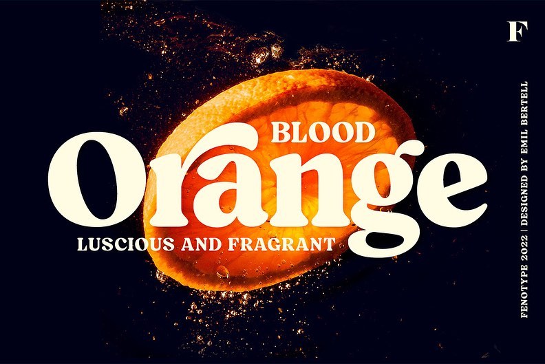 YouWorkForThem's tweet photo. Blood Orange by fenotypefonts (Emil Bertell)
๐ฅ https://t.co/ZIDdQyxsai
#font #typeface #serif #logotypedesign #logotype #retrofont #rounded #vintage #modern #cafefont #ywft #youworkforthem https://t.co/frforld5Ym