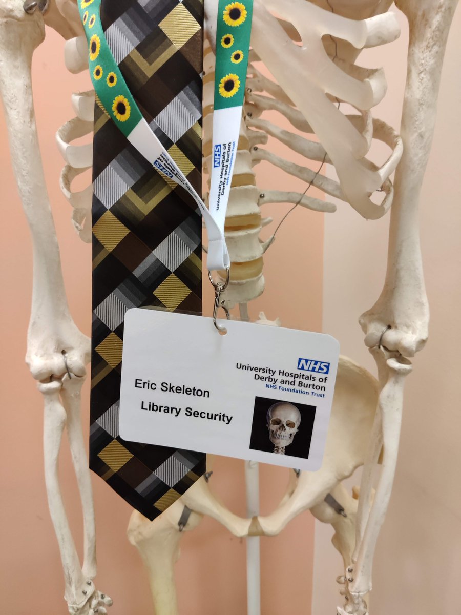 UHDBLibrary's tweet photo. Eric is now in place as Library Security for Seminar Room 1. The fez isn't part of the official security uniform, he just came in like that.
#nothinggetspasteric #hewearsitwell #skeletonsecurity #yournamesnotdownyourenotcomingin https://t.co/7mpKK61E1H