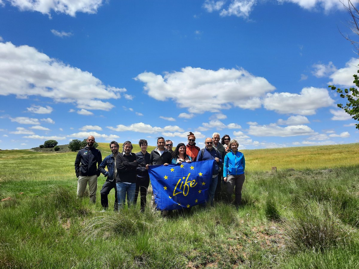 LifeCanadas's tweet photo. Realizamos la tercera visita del equipo externo de NEEMO. Muy productiva la jornada de campo para revisar las actuaciones en la Cañada Real Conquense. Con @Gomecello @SEO_BirdLife @inland_ca @ComunidadMadrid @gobjccm @UAM_Madrid https://t.co/Y60QPCadKU