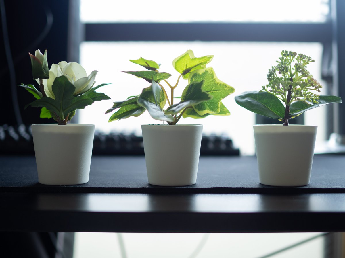 zircon1110's tweet photo. #IKEA の #FEJKA (#フェイカ) #人工観葉植物 植木鉢付き3点セット。
デスク周りに置いて気分転換に。 https://t.co/yVAoSbMSOq