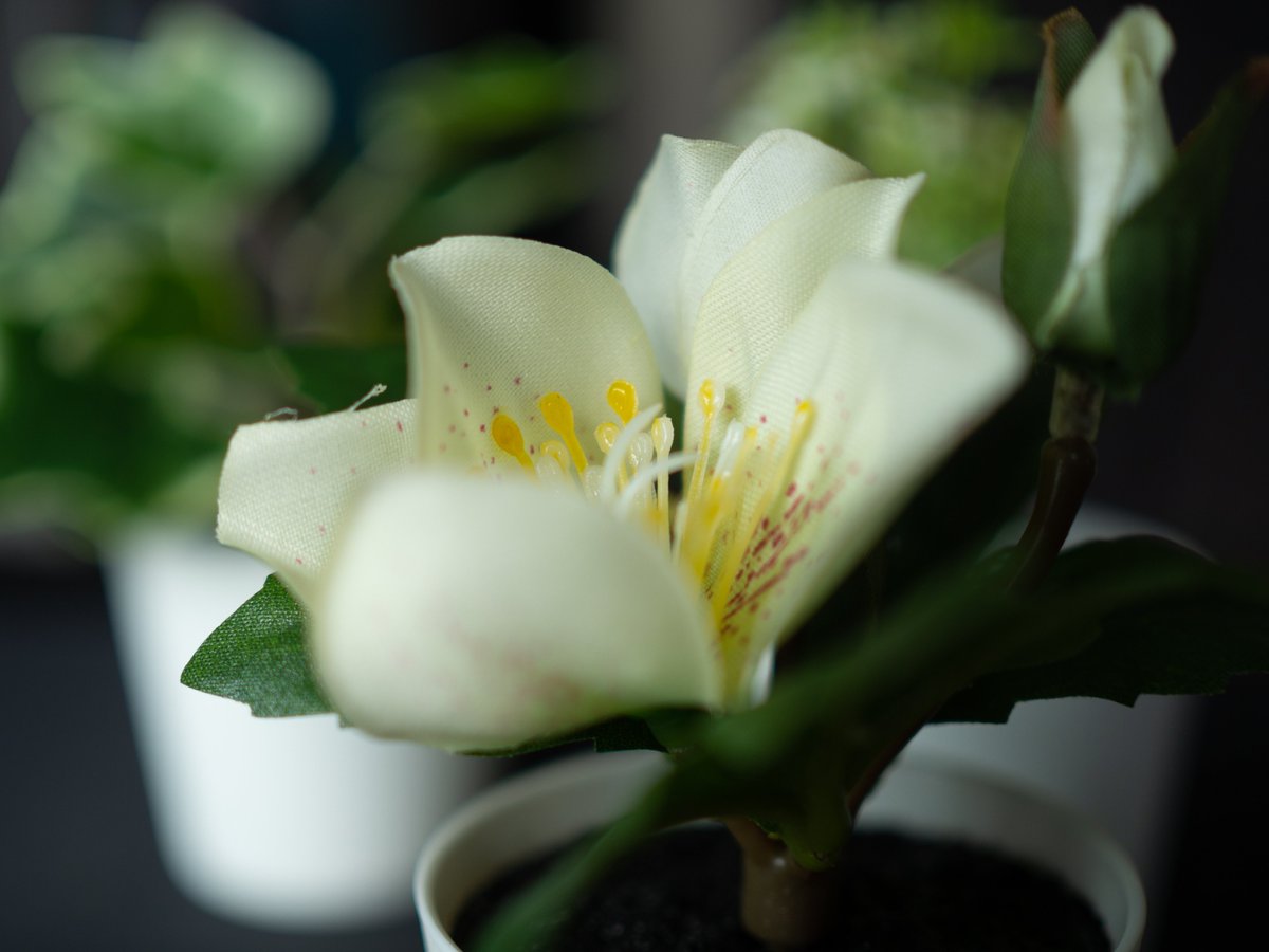 zircon1110's tweet photo. #IKEA の #FEJKA (#フェイカ) #人工観葉植物 植木鉢付き3点セット。
デスク周りに置いて気分転換に。 https://t.co/yVAoSbMSOq