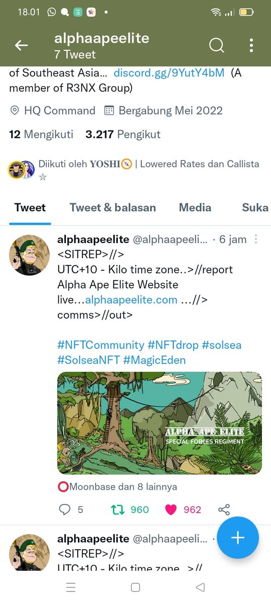 nindywin tweet media