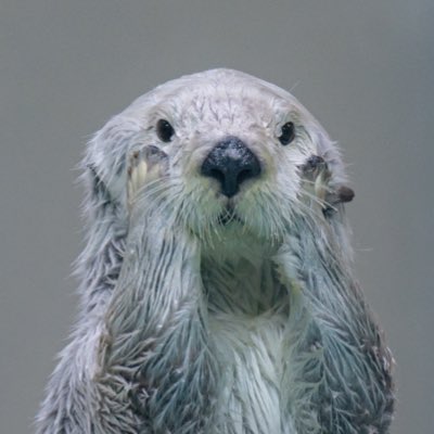 #新しいプロフィール画像