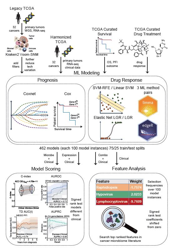 NatureComms's tweet photo. Predictive value of tumor microbial abundances for cancer prognosis and drug response.
https://t.co/sOtd3OYVop
@NCIEytanRuppin #CancerResearch @natrescancer https://t.co/GMOKaW0LOC