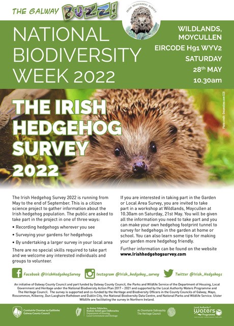 Irish Hedgehog Survey tweet media