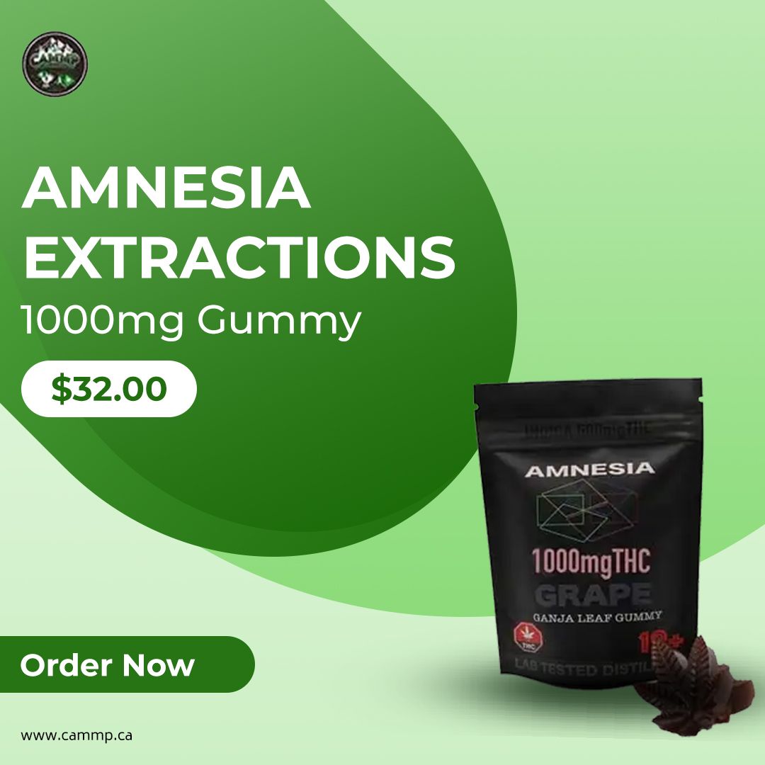 CammpCanada's tweet photo. Amnesia Extractions #Gummies are now @ just $32.00

https://t.co/6H7Ts9NODh

#cbdgummies #cbdedibles #cammp #cbdoil #cbd #hemp #cbdhealth #cbdproducts #cannabis #cbdlife #cannabiscommunity https://t.co/tWHgSxB3rm