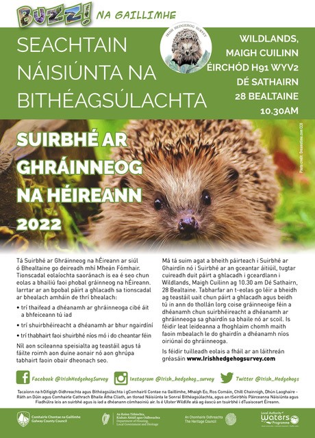 Irish Hedgehog Survey tweet media