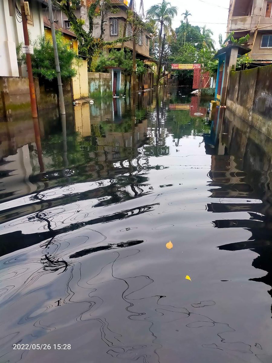 SagarRo45323823's tweet photo. These photos are from Silchar Bilpar Location, their are 30000 people are suffering from the drainage water logging, Our MLA even MP Home also in that location, But no one is their to help Us.
DC Madam plz help.. https://t.co/qXk7TMzhSg