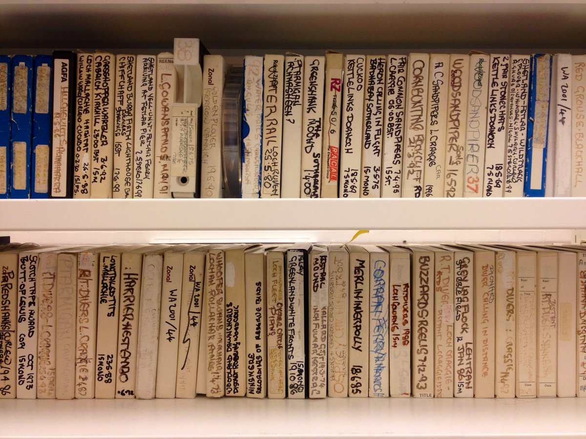 CherylTipp's tweet photo. Job alert! The @soundarchive is looking for an audio engineer to work on digitising our collections. Fixed term until March 2023, closing date is 8th June. Click here for more details https://t.co/HAxj1kdGFP https://t.co/Dyywxh0YWg