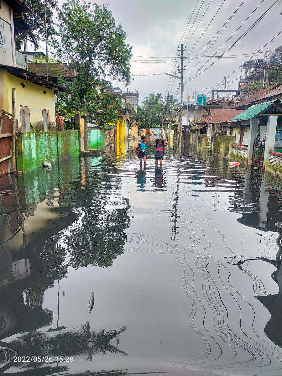 SagarRo45323823's tweet photo. These photos are from Silchar Bilpar Location, their are 30000 people are suffering from the drainage water logging, Our MLA even MP Home also in that location, But no one is their to help Us.
DC Madam plz help.. https://t.co/qXk7TMzhSg