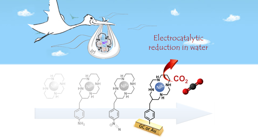 RTripier's tweet photo. Very excited to have our @ChemCommun article now online. Happy to share the result of a great collaboration with N. le Poul on a C-functionalized Ni–cyclam complex grafted onto carbon for reduction of CO2 in water. @UMR_6521 @UBO_UnivBrest @INC_CNRS 
https://t.co/qb6OPbDUDA https://t.co/RrHAaGr5le