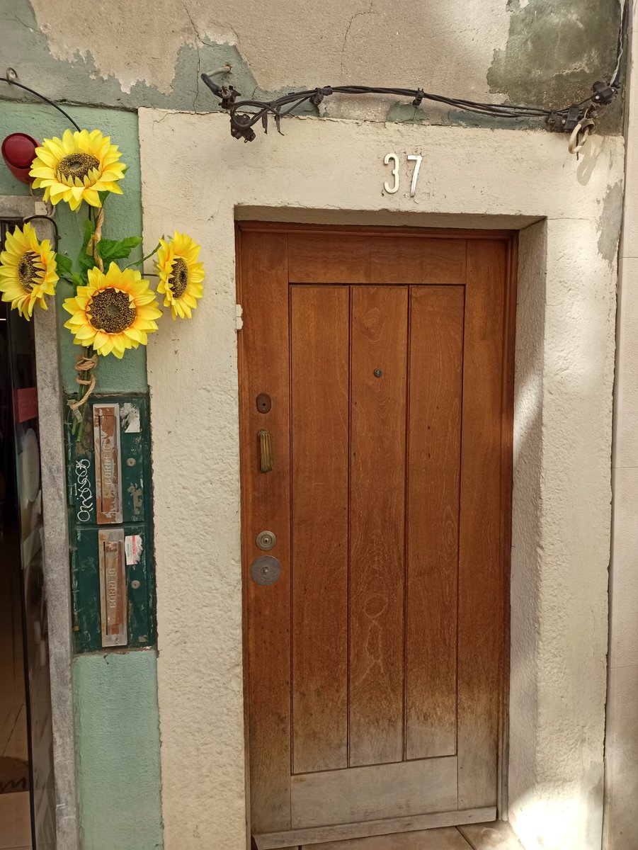 CNFT World tweet media