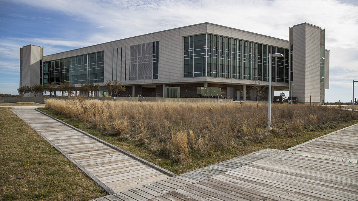 EastCarolina's tweet photo. #PirateProgram Spotlight: #ECU’s Semester at the Coast brings #Pirate undergrads to the Outer Banks.

The program features:
→ Coastal curriculum focus 🦞
→ Cutting-edge research labs 🥼
→ Remarkable coastal setting 🌊

Learn more ➡️ https://t.co/LJdCeCbMFj https://t.co/IqDLZI9O9G